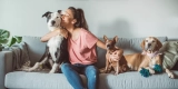 Can Pets Really Boost Your Mental Health?